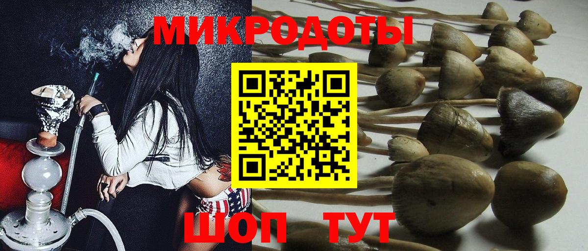 купить   Вход с VPN  Рассказово  Псилоцибиновые грибы Magic Shrooms 